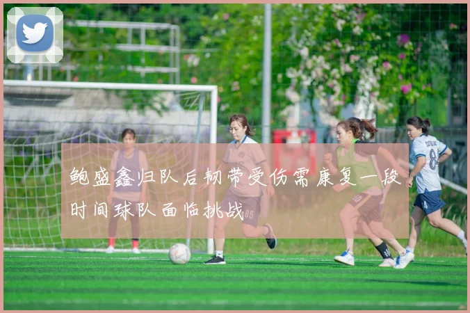 鲍盛鑫归队后韧带受伤需康复一段时间球队面临挑战