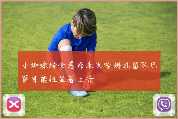 小蜘蛛转会悬而未决哈姆扎留队巴萨可能性显著上升